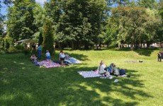 Więcej o: Dzień Pustej Klasy